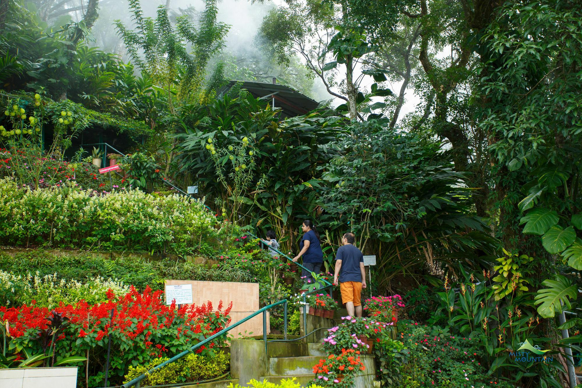 Misty Mountain Resort Munnar Exterior foto