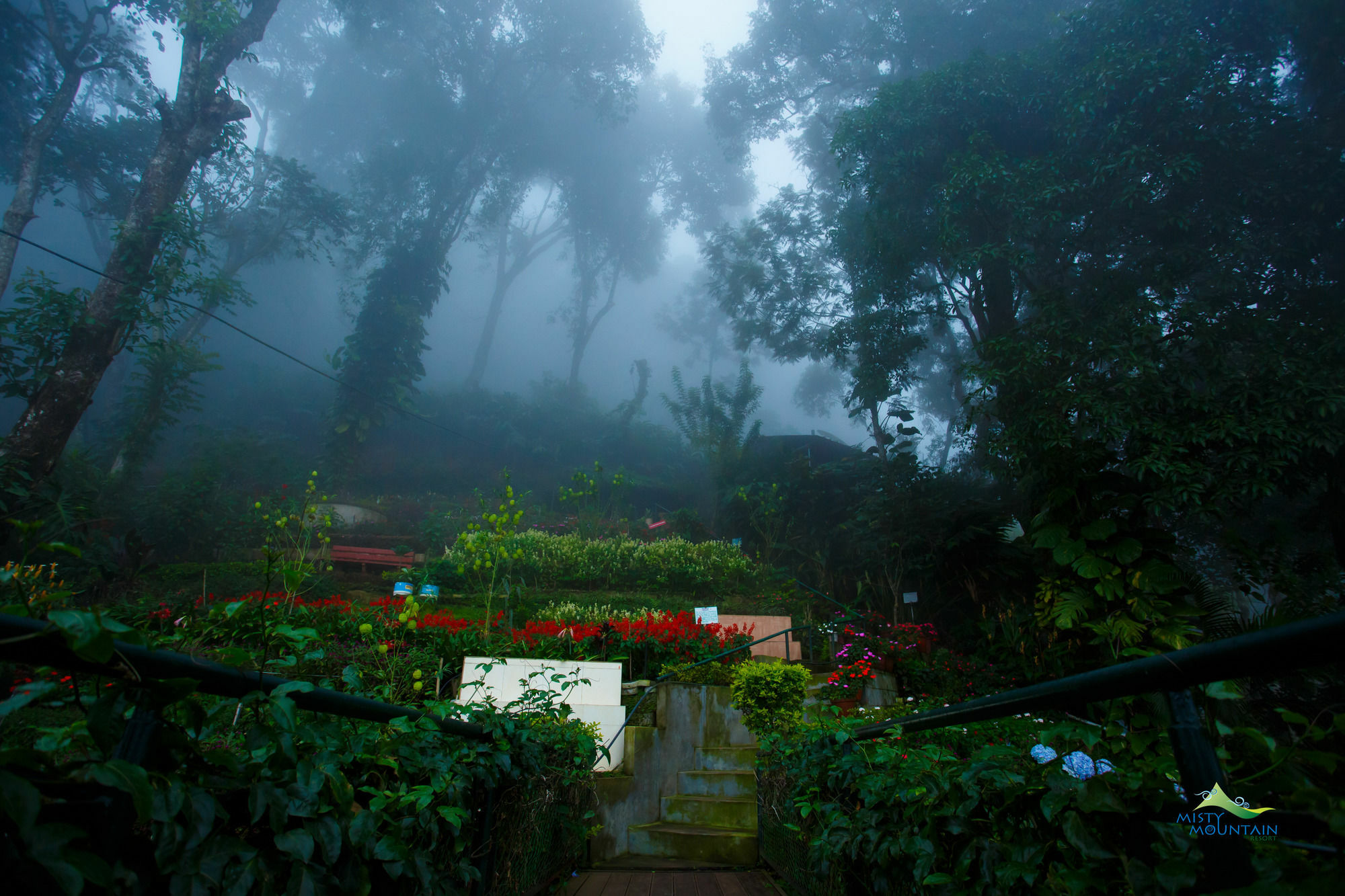 Misty Mountain Resort Munnar Exterior foto