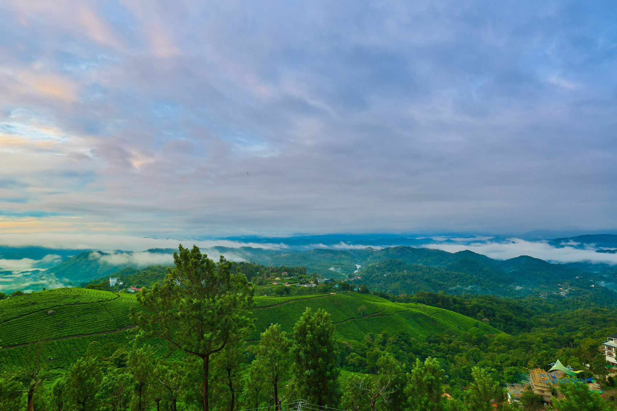 Misty Mountain Resort Munnar Exterior foto