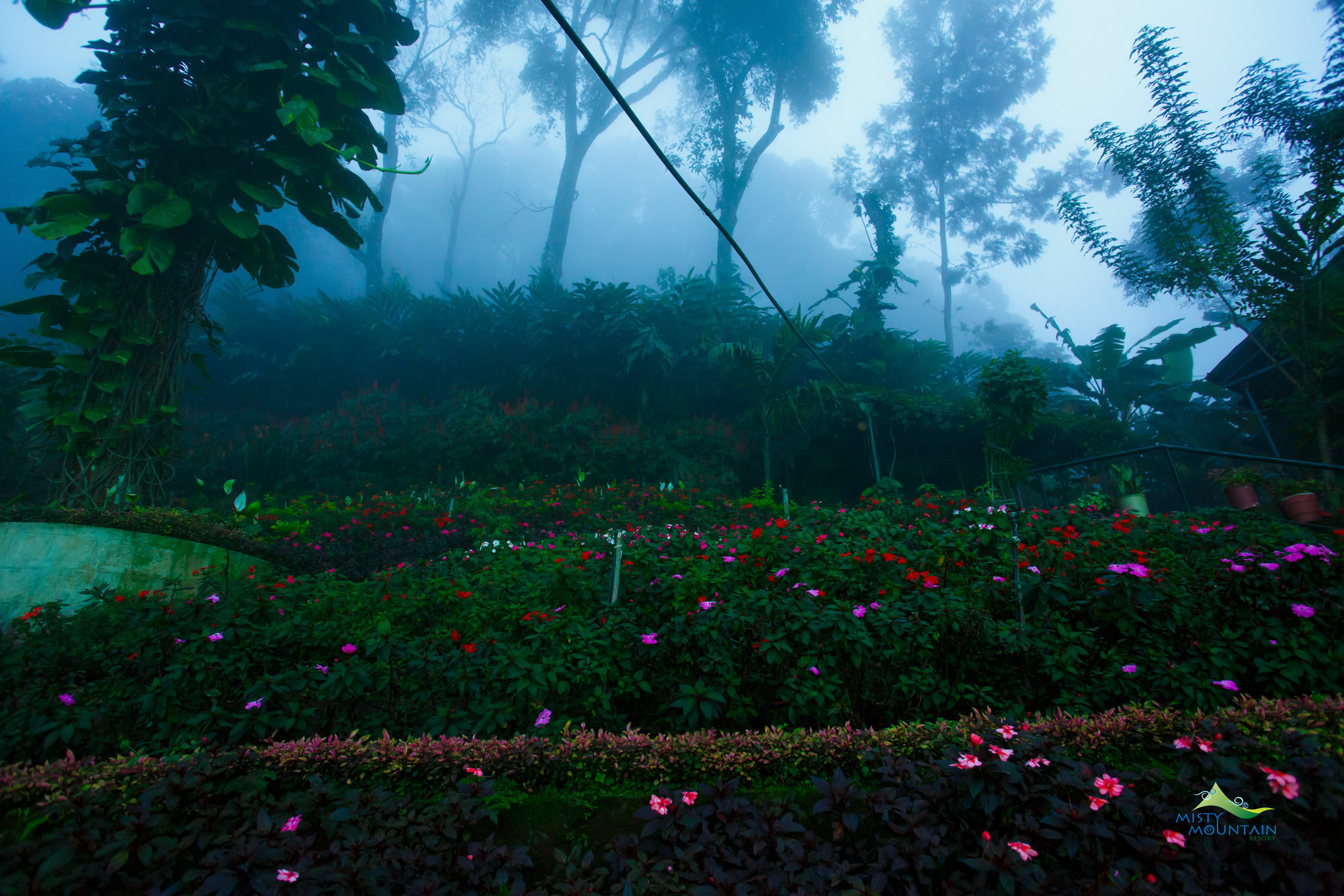 Misty Mountain Resort Munnar Exterior foto